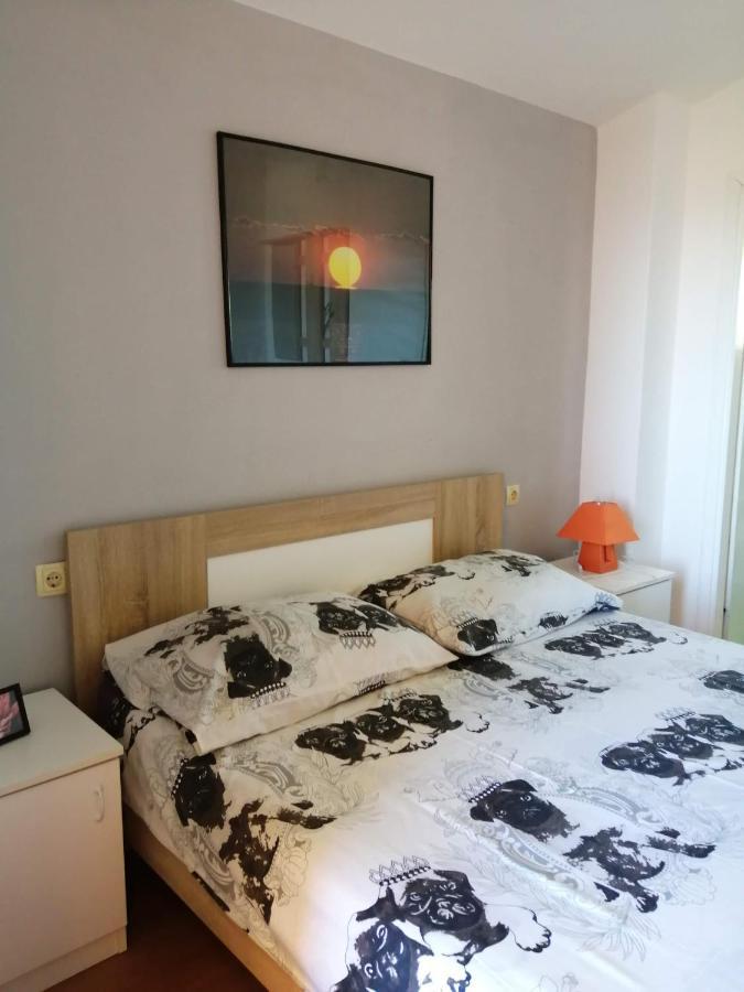 Apartmani A&N Bibinje Ngoại thất bức ảnh