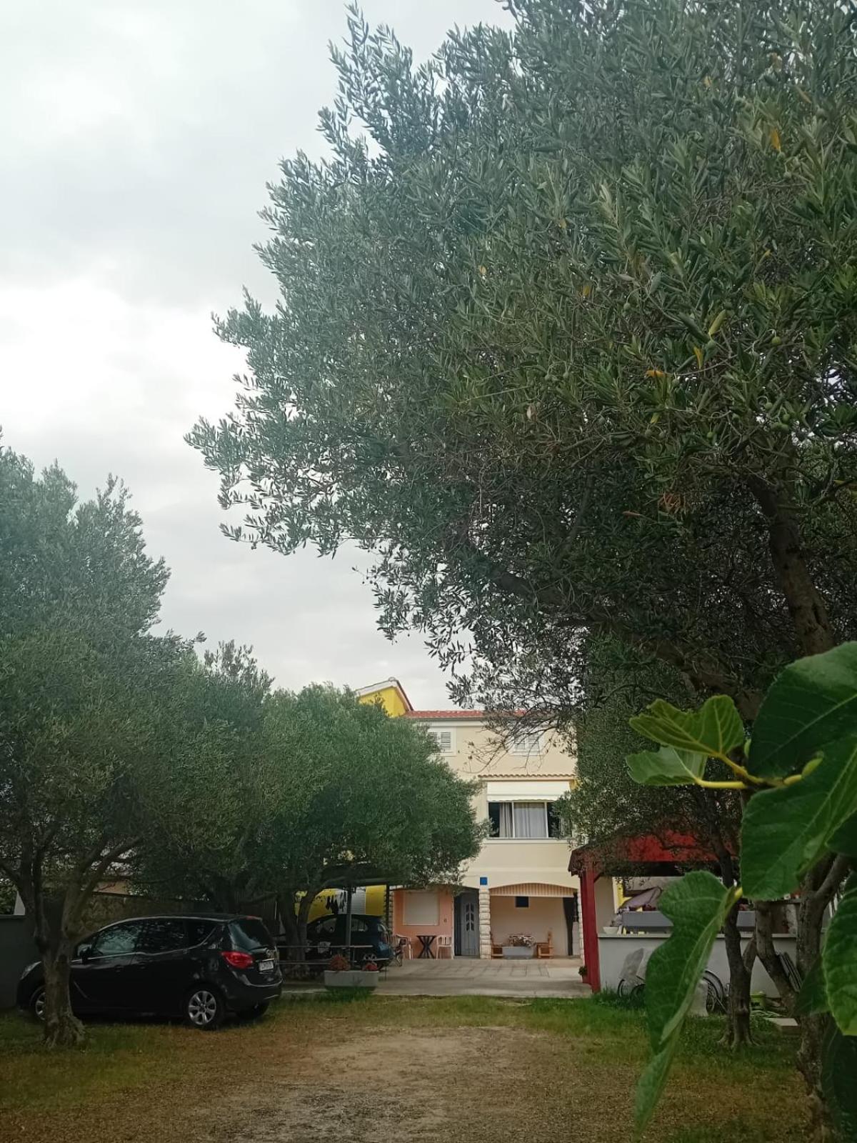 Apartmani A&N Bibinje Ngoại thất bức ảnh